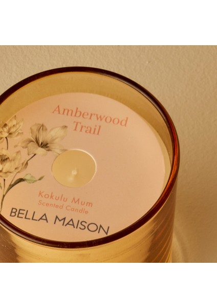 Amberwood Trail Kokulu Mum Sarı (120 Gr)