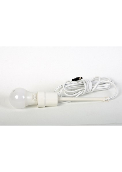 12VOLT Duylu Ampul