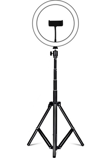 26CM/10INCH Rgb Halka Işığı Aydınlatma Dimmer USB ile Güçlendirilebilir (Yurt Dışından)