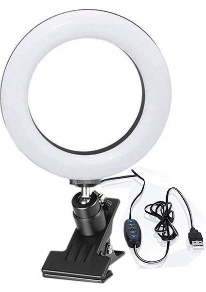 4 Inç Alüminyum Kabuklu Beş Renk Sıcaklıklı Doldurma Işığı (Yurt Dışından)