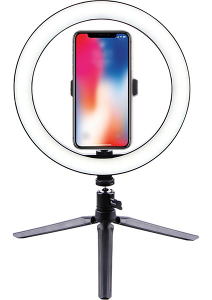 260MM Aydınlatma Seviyesi Ayarlanabilir USB ile Ilgilenilen LED Halka Işığı (Yurt Dışından)