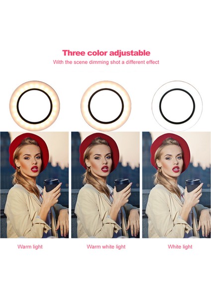 260MM Aydınlatma Seviyesi Ayarlanabilir USB ile Ilgilenilen LED Halka Işığı (Yurt Dışından) modelleri