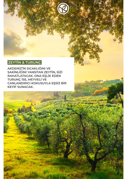 Nemlendirici Duş Jeli - Ferahlatıcı Zeytin Turunç - 400ml fırsatları