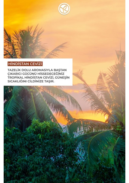 Konsantre Duş Jeli - Tropikal Hindistan Cevizi - 100ml-73976 fırsatları