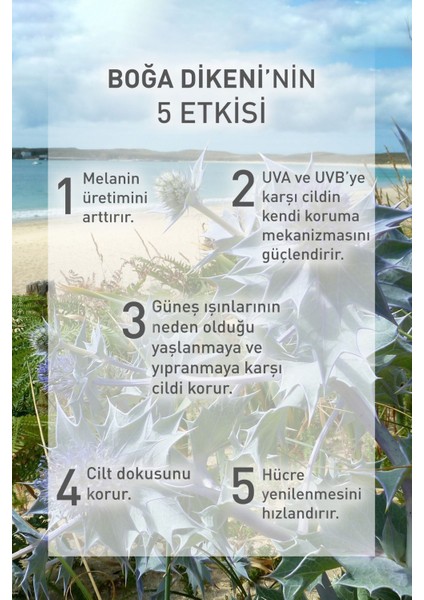 Güneş Sonrası Yaşlanma Karşıtı Yüz Kremi/solaire Peau Parfaite-30ml