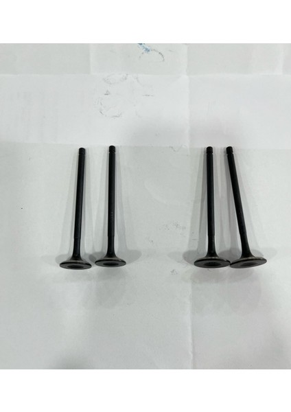 TVS APACHE RTR 200 SÜBAP TAKIMI 4 LÜ fiyatları