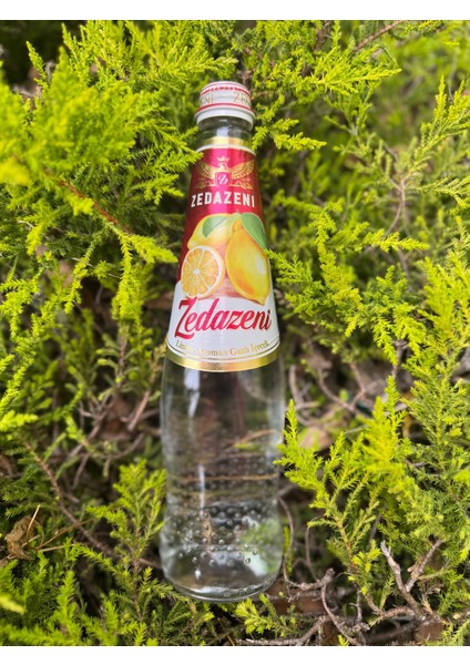 Limon Aromalı Gürcistan Limonatası 1 Adet
