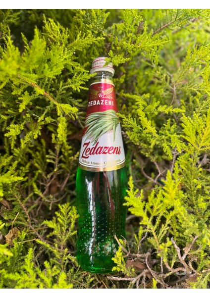 Tarhun Aromalı Gürcistan Limonatası 1 Adet