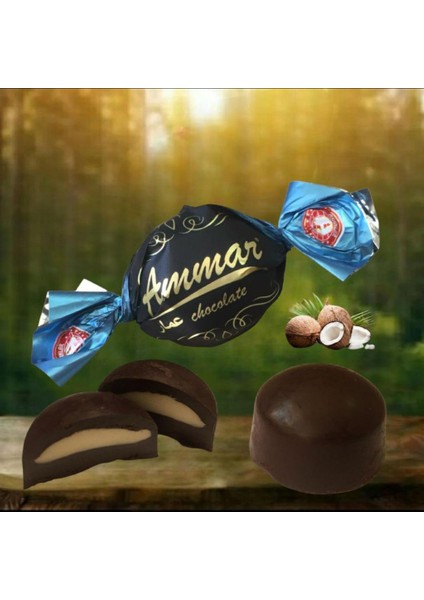 Bitter Kaplamalı Hindistan Cevizi Aromalı Bayramlık Ikramlık Ammar Çikolata 300 gr fiyatları