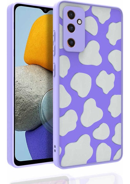 Galaxy M23 Kılıf Desenli Kamera Korumalı Parlak Iksp Nora Kapak-No6