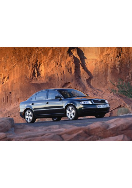 Skoda Superb Bagaj Amortisörü 2003-2009 (2 Adet) fiyatları