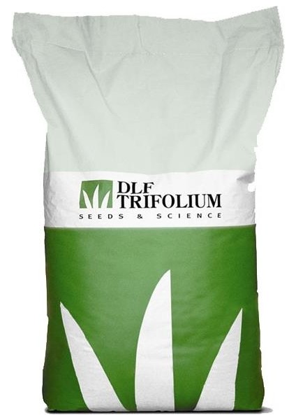 Üçgül Süs Yoncası Tohumu (500 Gr) Kaplamasız ( Trifolium Repens )