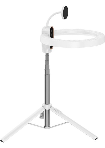 10 Inç Magsafe Uyumlu Ring Light indirimleri