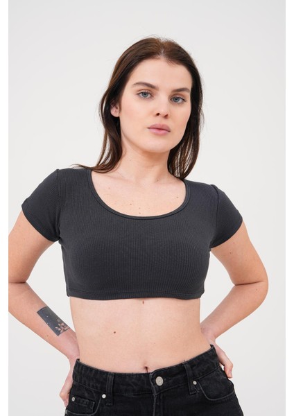 Erva Fitilli Kısa Kollu Crop Bluz Siyah
