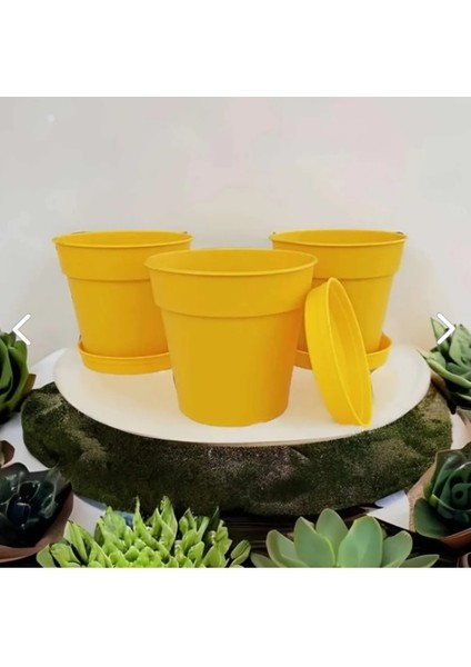 Terakota 3lü Saksı 100 x 90 mm 0,4 Lt