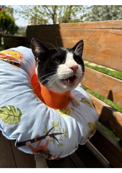 Kedi ve Küçük Irk Köpek Boyunluk-Elizabeth Yakalık Operasyon(Ameliyat)Boyunluk (Safari)