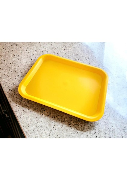 6 Adet Servis Tepsisi Kırılmaz Sarı fiyatları
