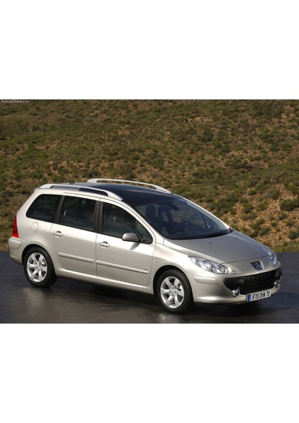 Peugeot 307 Sw. Bagaj Amortisörü 2001-2008 (2 Adet) fiyatları