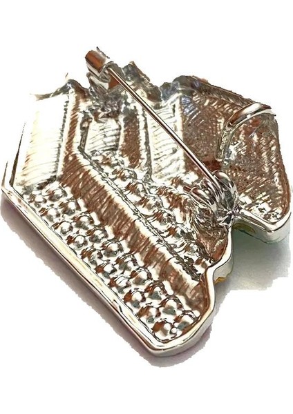 Parlak Taşlı Kitap Kurdu Broş Yaka Iğnesi modelleri