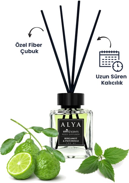 Nature's Scents Bambu Çubuklu Oda Kokusu Bergamot & Patchouli - Mixed Berries -Ocean 100 ml x 3 Adet