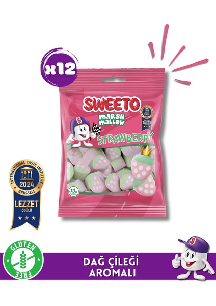 Strawberry Marshmallow 20 gr x12