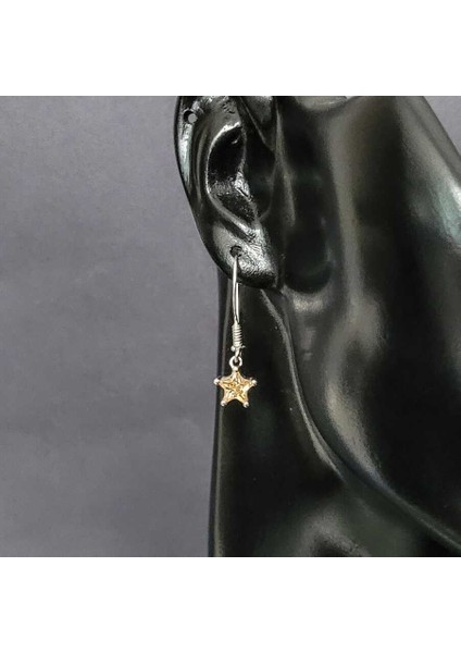 925 Ayar Gümüş Yıldız Model Kuvars Taşlı Küpe modelleri
