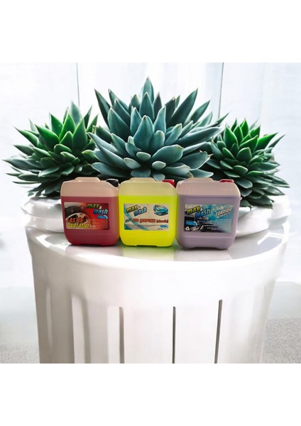 Max Wash 3lü set Oto şampuan.Lastik parlatıcı.Torpido bakım sütü gold seri 4kg