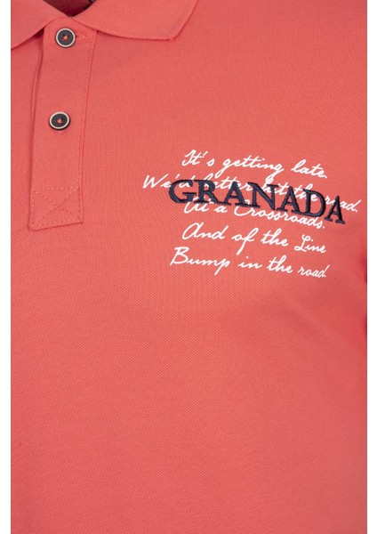 Erkek Polo Yaka Tişört Y0TYO2651 fırsatları