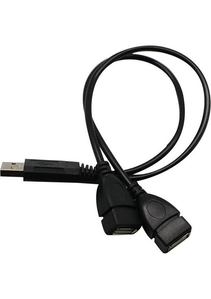 USB 2.0 A Erkek 2 Çift Dişi Jack Y Splitter Hub Güç Kablosu Adaptör Kablosu (Yurt Dışından)
