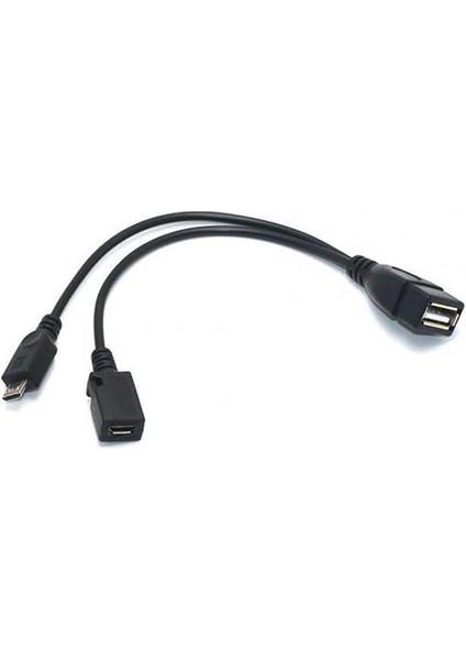 1 In 2 Mikro USB Ana Bilgisayar Gücü Y Splitter Adaptörü 5 Pinli Erkek Dişi Otg Kablosuna (Yurt Dışından)