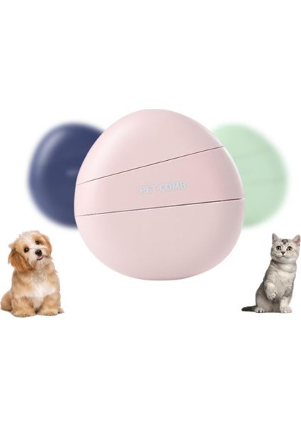 Kedi Bakım Seti Banyo Fırçası 3in1 Evcil Hayvan Temizleme Kiti Masaj Tarağı Seyahat Seti modelleri