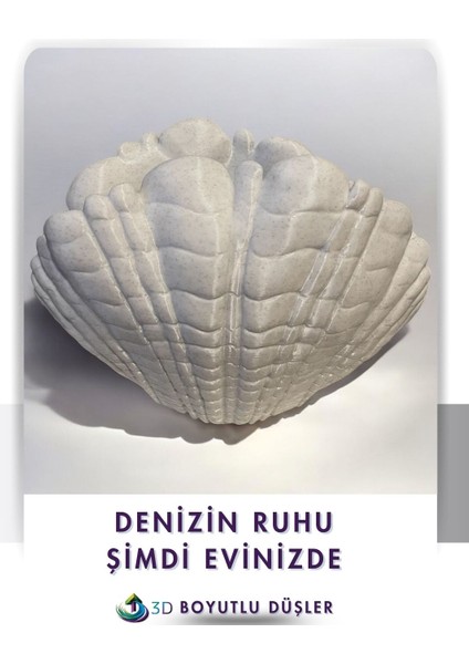 Deniz Kabuğu Modern Vazo modelleri