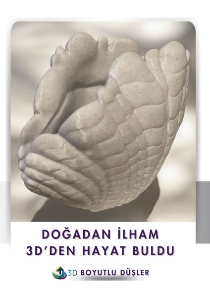 Deniz Kabuğu Modern Vazo fırsatları