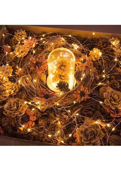 3m 20 LED Gün Işığı 2 Kademeli Şeffaf Kablo Iç Mekan Ev Ofis Yazlık Balkon Dekoratif Süsleme LED modelleri