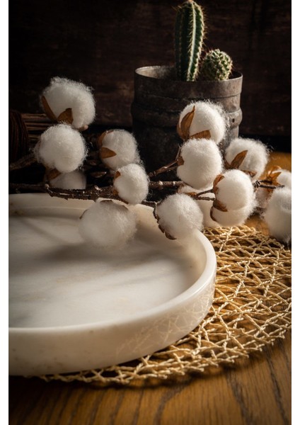 Beyaz Mermer Sunum Tepsi fiyatları