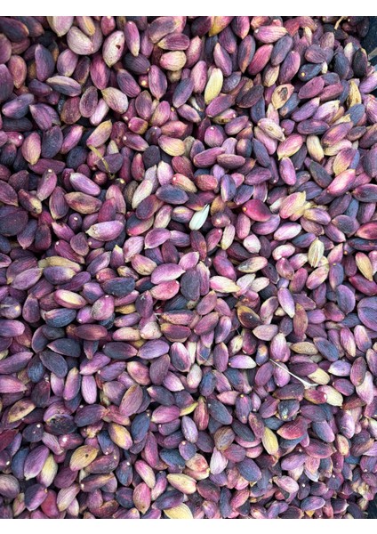 1 Kilogram Ağaç Altı Kuru Kabuklu Antep Fıstığı En Lezzetli Fıstık 1. Sınıf Ürün