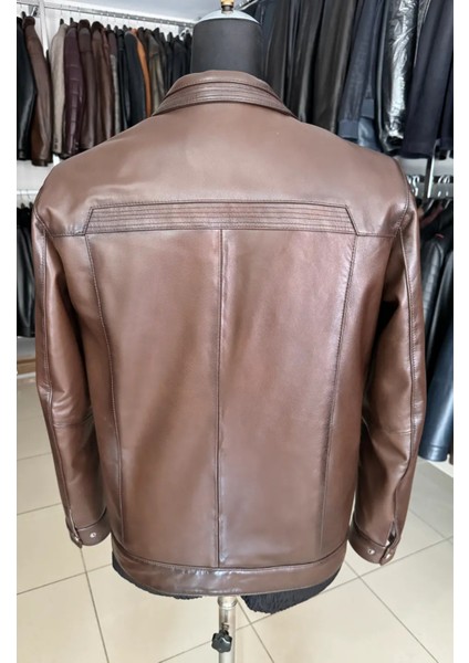 Jack Hakiki Deri Erkek Taba Ceket