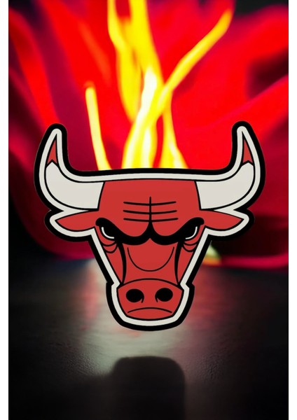 Chicago Bulls Dekoratif Aydınlatma LED Gece Lambası fiyatları