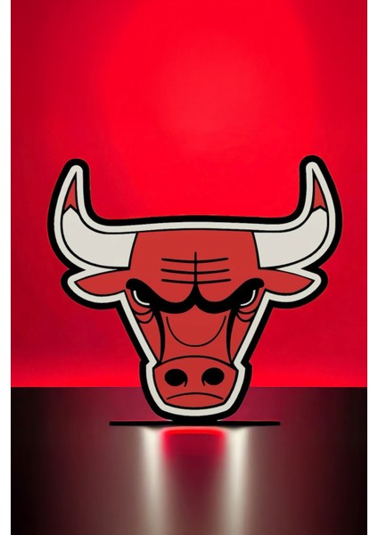 Chicago Bulls Dekoratif Aydınlatma LED Gece Lambası modelleri
