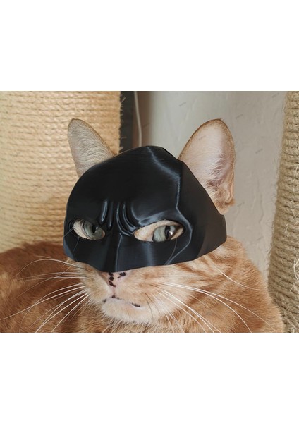 Kedi Batman Maskesi | Cat-Man