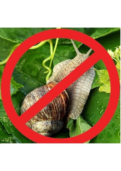 Salyangoz ve Sümüklü Böcek Ilacı Pelet Yem 1 kg