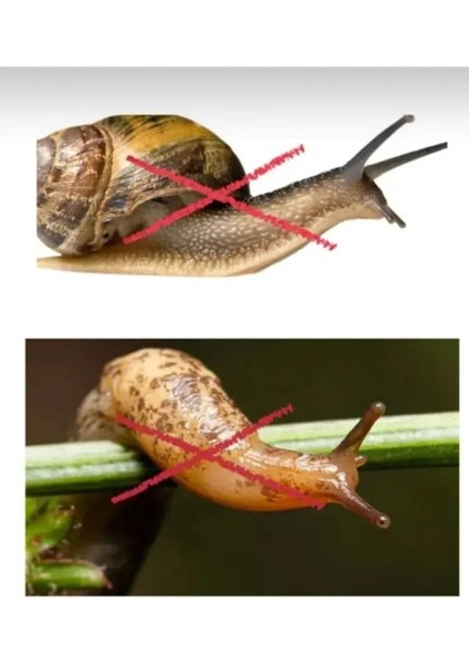 Salyangoz ve Sümüklü Böcek Ilacı Pelet Yem 1 kg fiyatları