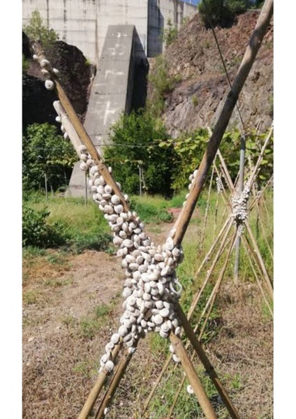 Salyangoz ve Sümüklü Böcek Ilacı Pelet Yem 1 kg modelleri