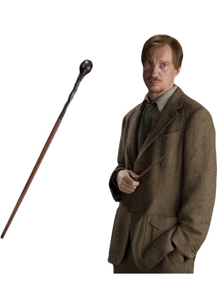 Remus Lupin Asası Harry Potter Kutulu Asa