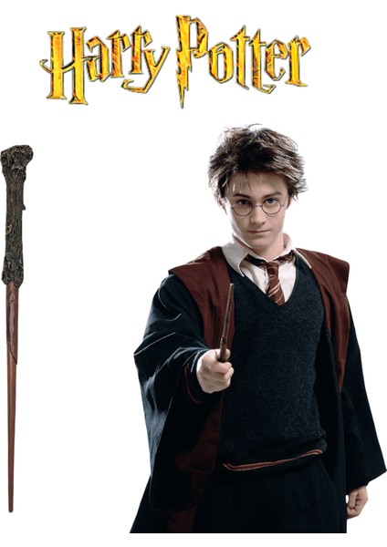 Harry Potter Asası Harry Potter Karakteri Kutulu Asa
