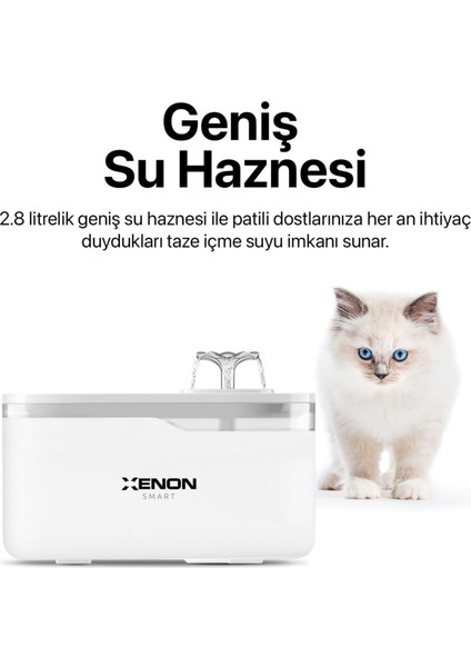 Akıllı Kedi Köpek Su Pınarı Ultra Sessiz Led Işıklı Su Şelalesi ve 4 Adet Yedek Filtre 2'li Pet Seti
