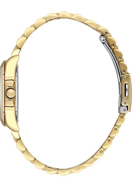 Danıel Kleın DKE.1.10848-4 Premium Kadın Kol Saati fiyatları