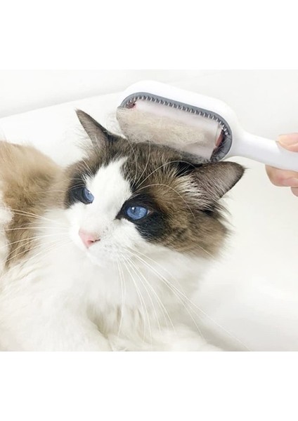 Hsyn Kedi Köpek Tüy Toplama Tarağı Akdenizpos Yeni