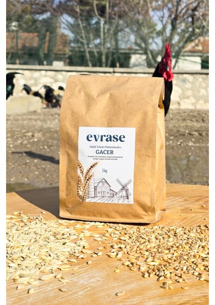Atalık Gacer Unu 1 kg