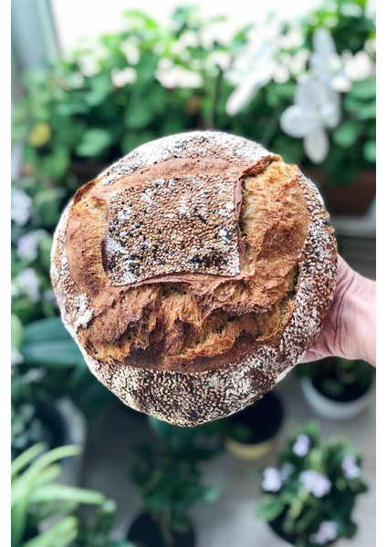 Atalık Yediveren Unu 1 kg (Hediyelik Paket)